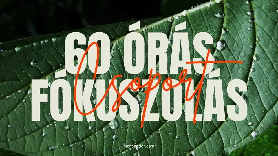 60 órás fókuszolás csoport Szegeden, hétköznaponként